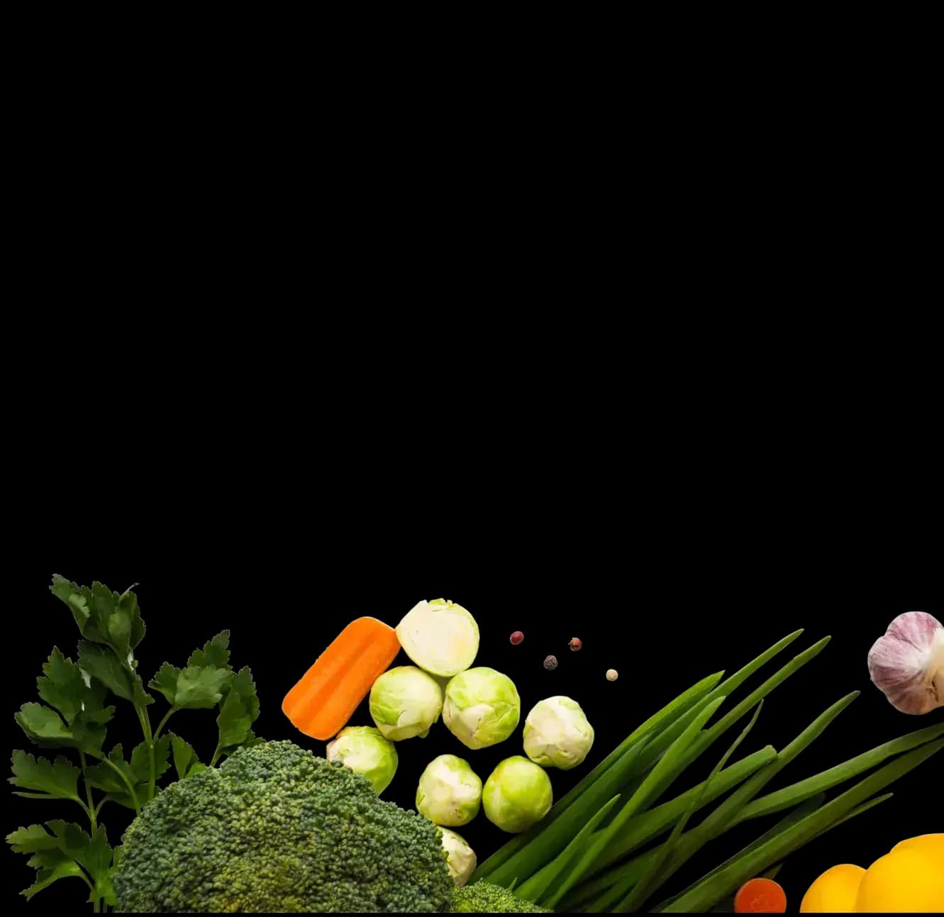 Nutryfit fitness through nutrition
