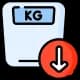 Weight Loss Diet Plan